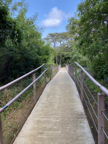 Footpath Construction in Rockledge