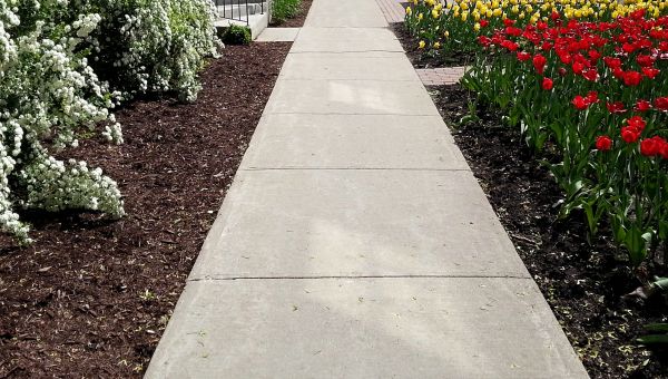 Cement Sidewalk Installation in Rockledge