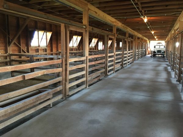Barn Slab Construction in Rockledge