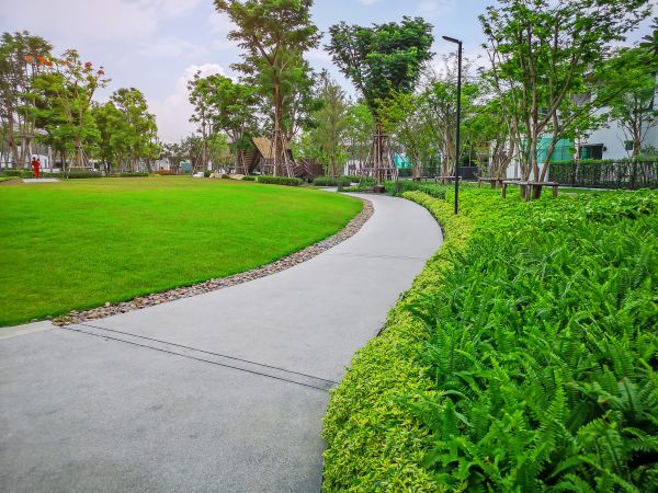 Cement Walkway Service in Rockledge