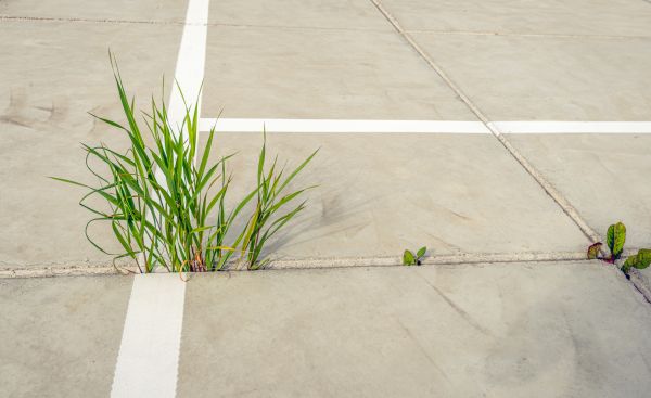 Concrete Parking Installation in Rockledge